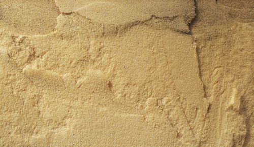 基礎断熱でシロアリ対策できる 対策方法とメリット デメリットを紹介 トラブルブック