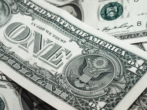 船橋でハクビシン駆除を依頼するならココがおすすめ 人気の業者9選 トラブルブック