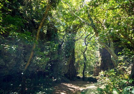 沖縄 旅行で行きたいやんばるの自然を堪能できる観光スポット おすすめ旅行を探すならトラベルブック Travelbook 沖縄 旅行で行きたいやんばるの自然を堪能できる観光スポット おすすめ旅行を探すならトラベルブック Travelbook