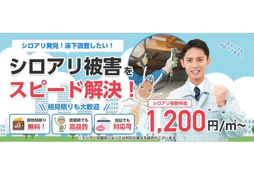 シロアリ駆除業者のおすすめ18選 人気上位を紹介 トラブルブック
