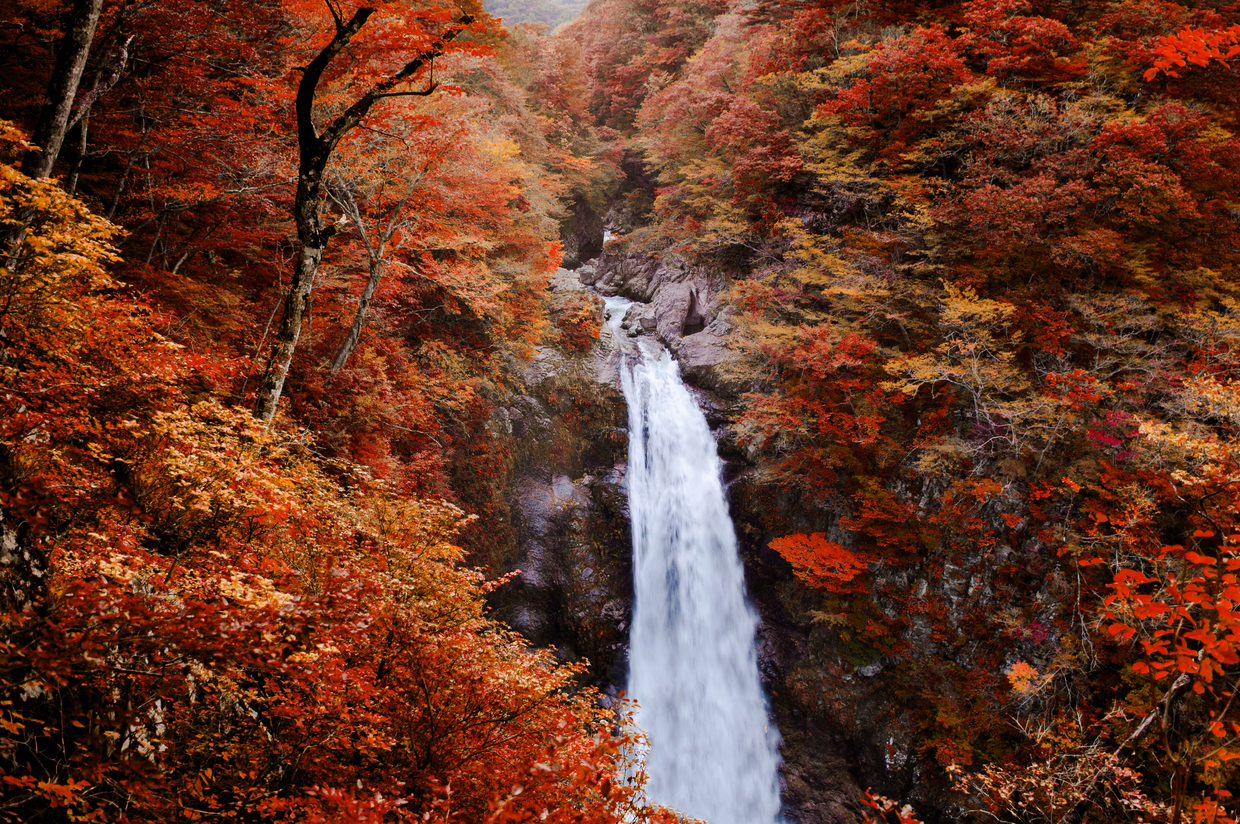 宮城の紅葉スポット 一度は行きたい人気スポットを紹介 宮城の紅葉スポット 一度は行きたい人気スポットを紹介