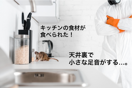 東京 ネズミ駆除のおすすめ業者18選 費用や業者の選び方も紹介 トラブルブック