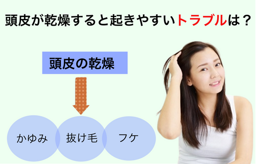 22年 頭皮の乾燥ケア 市販シャンプー選 かゆみにもおすすめ ドラッグストア人気商品も トラブルブック