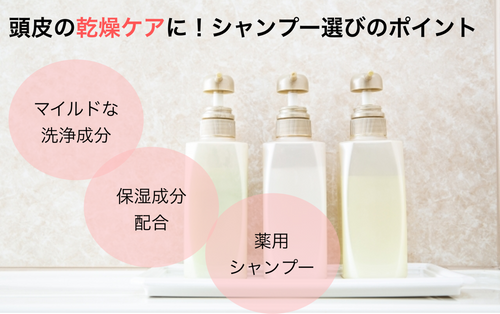 22年 頭皮の乾燥ケア 市販シャンプー選 かゆみにもおすすめ ドラッグストア人気商品も トラブルブック