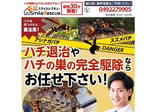 2026年最新】北九州の蜂の巣駆除業者のおすすめ16選｜退治・撃退を