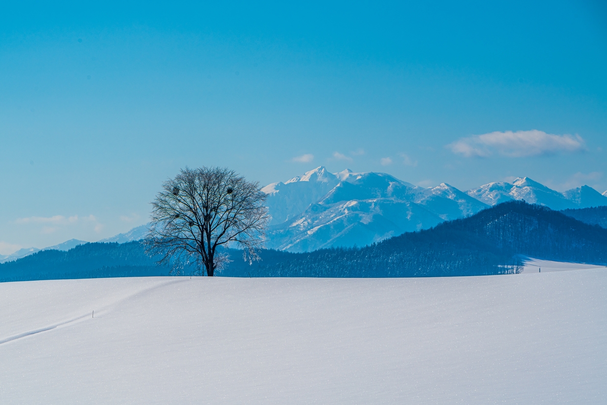 北海道のカップル利用におすすめホテル 旅館選 記念日プランやお得に泊まるコツも おすすめ旅行を探すならトラベルブック Travelbook