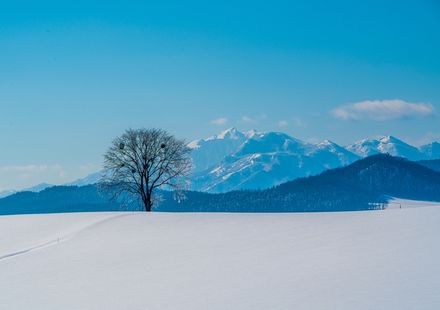 北海道のカップル利用におすすめホテル 旅館選 記念日プランやお得に泊まるコツも おすすめ旅行を探すならトラベルブック Travelbook 北海道のカップル利用におすすめホテル 旅館選 記念日プランやお得に泊まるコツも おすすめ旅行を探すならトラベルブック Travelbook