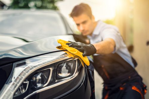 鳥のフンがよく落とされる車の色がある その理由と予防策をご紹介 トラブルブック 鳥のフンがよく落とされる車の色がある その理由と予防策をご紹介 トラブルブック