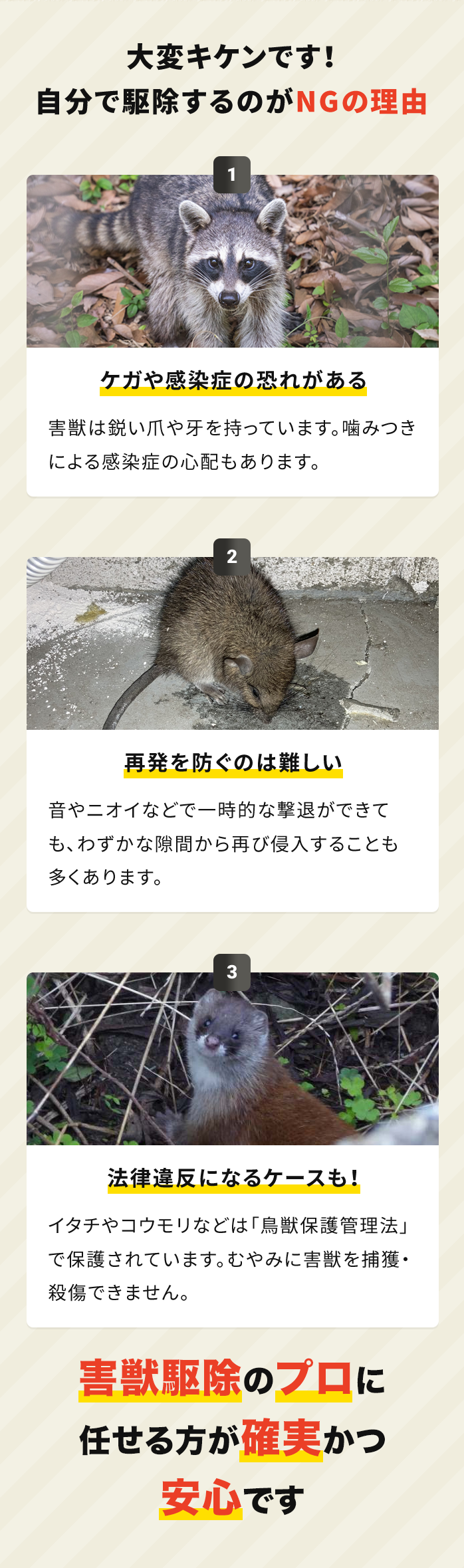 自分で駆除危険