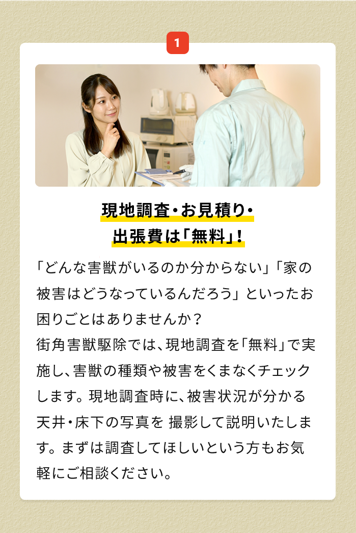 街角害獣おすすめ1