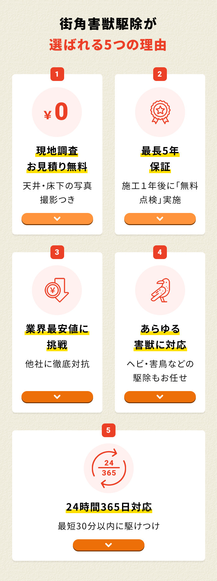 街角害獣駆除おすすめ5つ