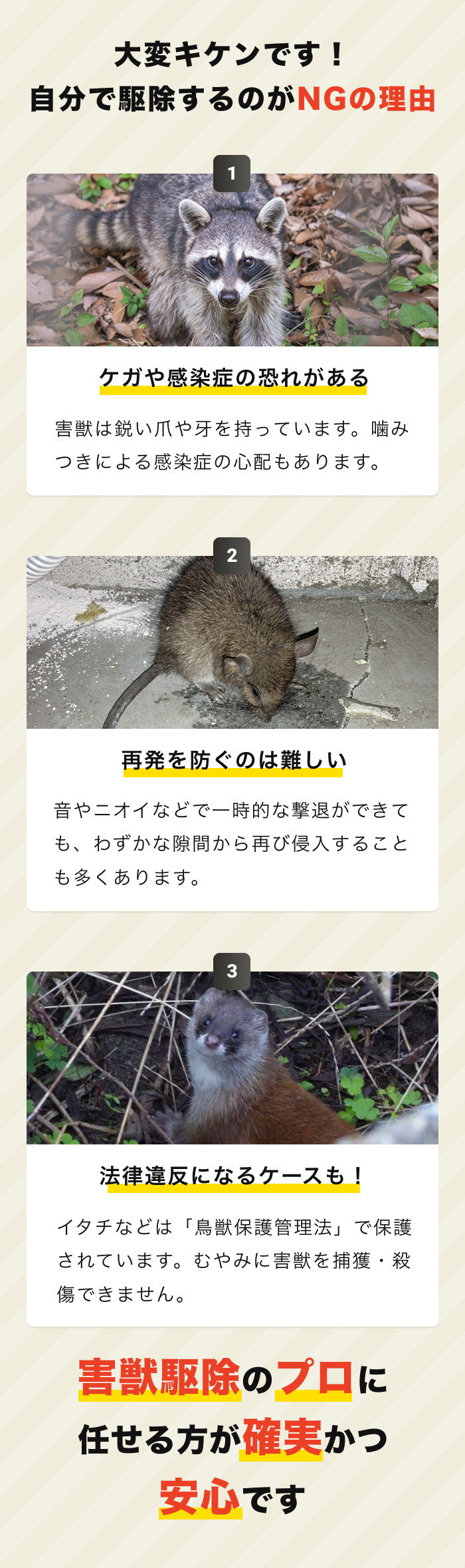 自分で駆除危険