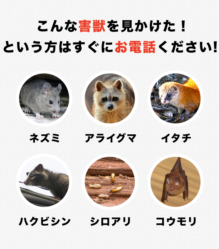 害獣駆除種類