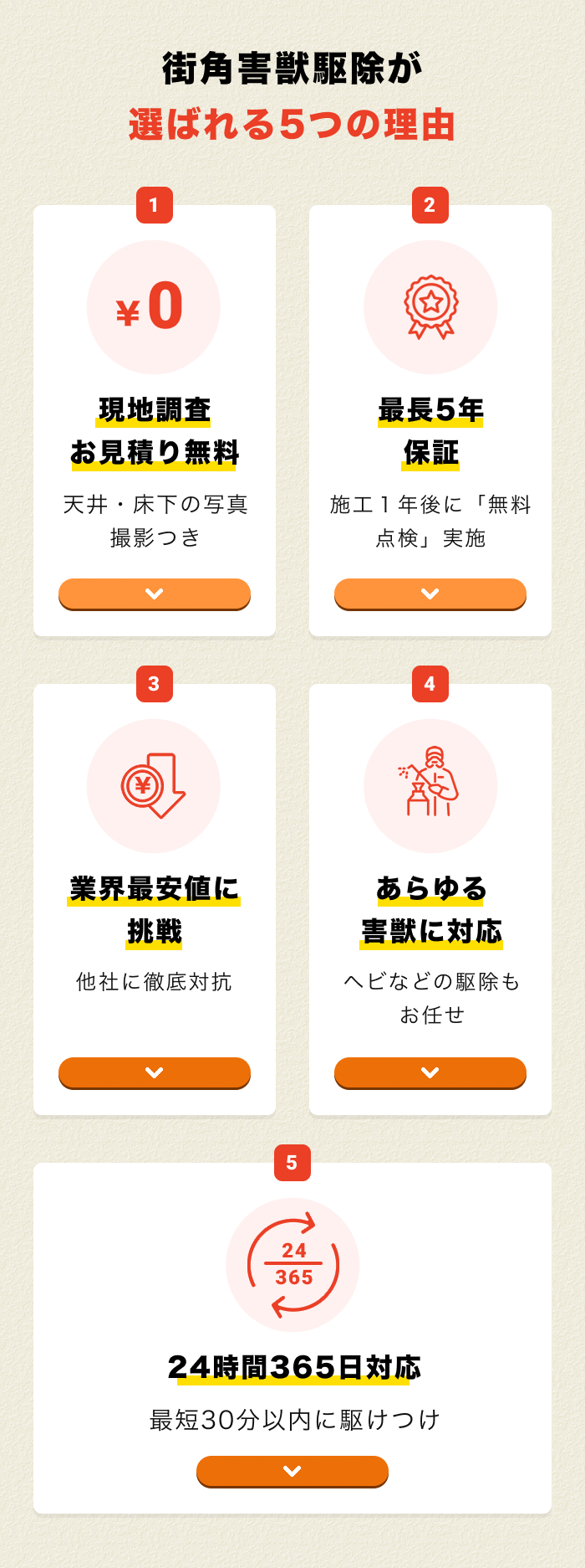 街角害獣駆除おすすめ5つ