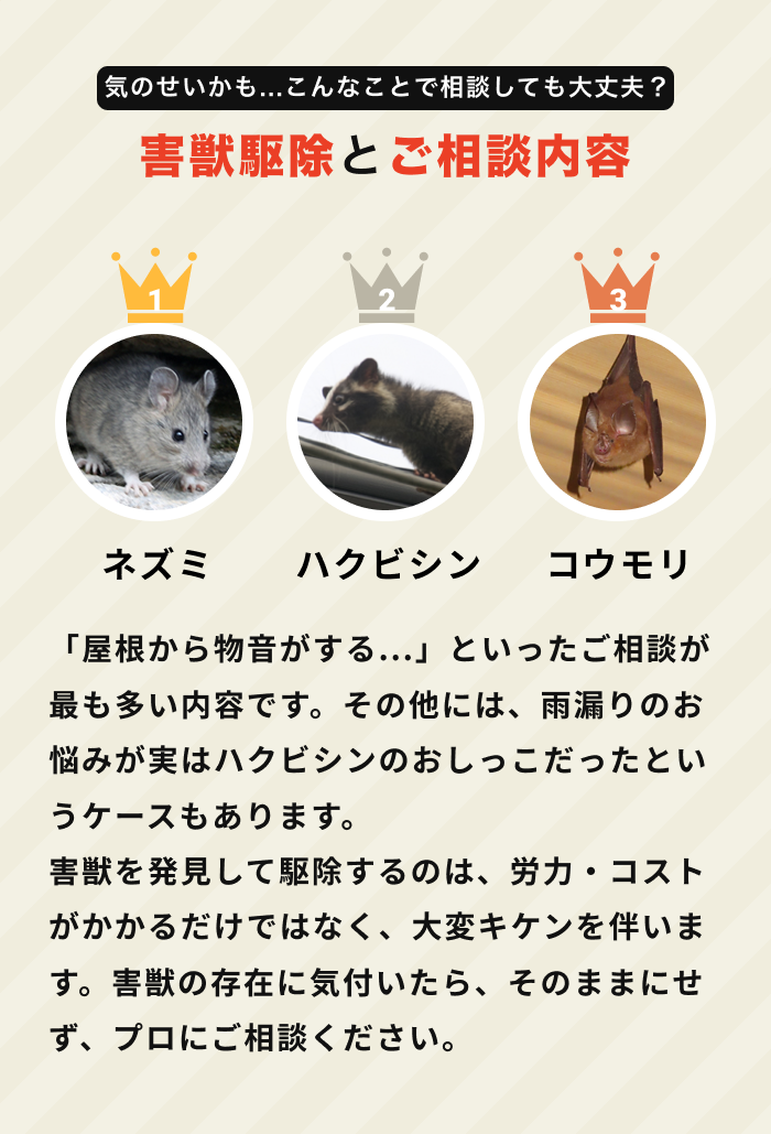 害獣駆除の相談内容