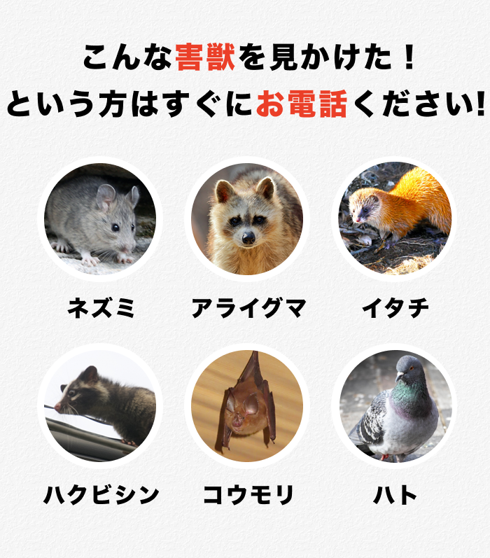 害獣駆除種類