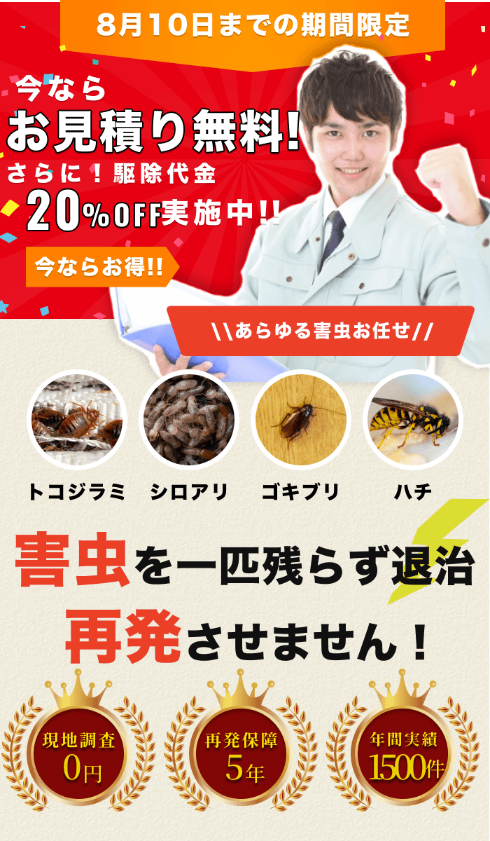街角害獣駆除のTOP画像　オファー訴求