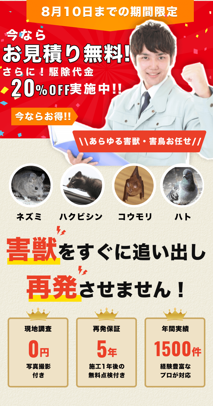 街角害獣駆除のTOP画像　オファー訴求