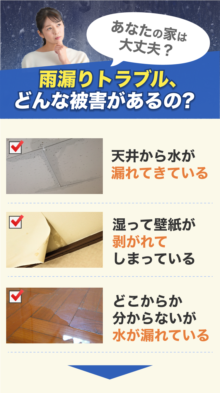 街角害獣駆除のTOP画像　オファー訴求