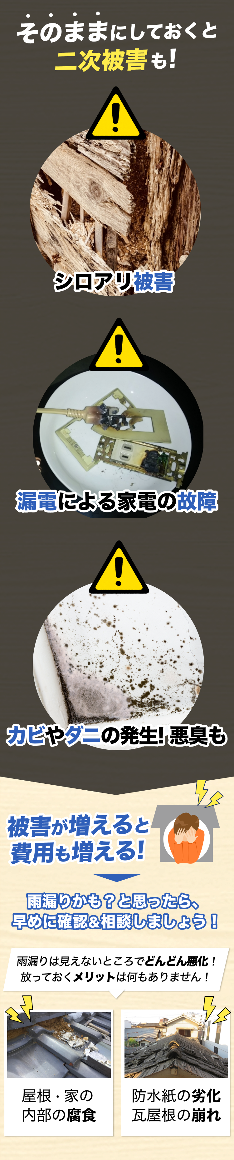 街角害獣駆除のTOP画像　オファー訴求