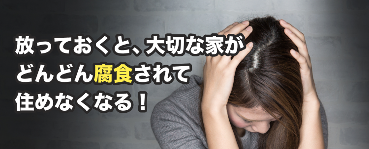 街角害獣駆除のTOP画像　オファー訴求