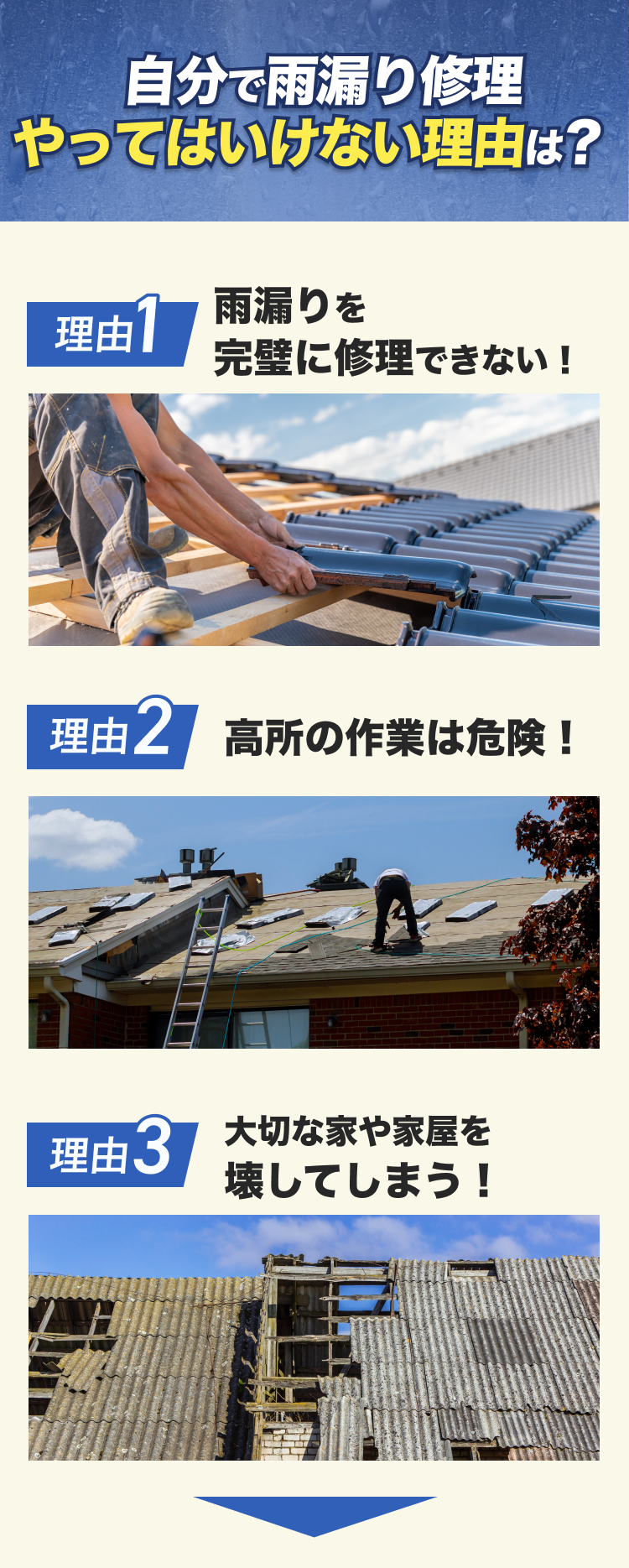 街角害獣駆除のTOP画像　オファー訴求