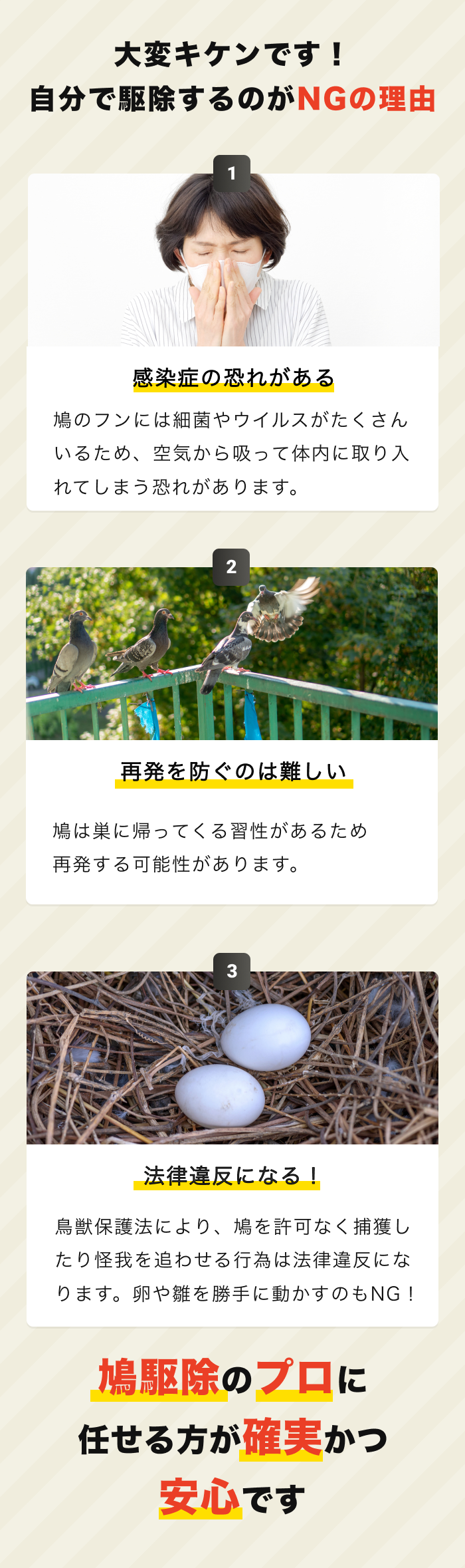 自分で駆除危険