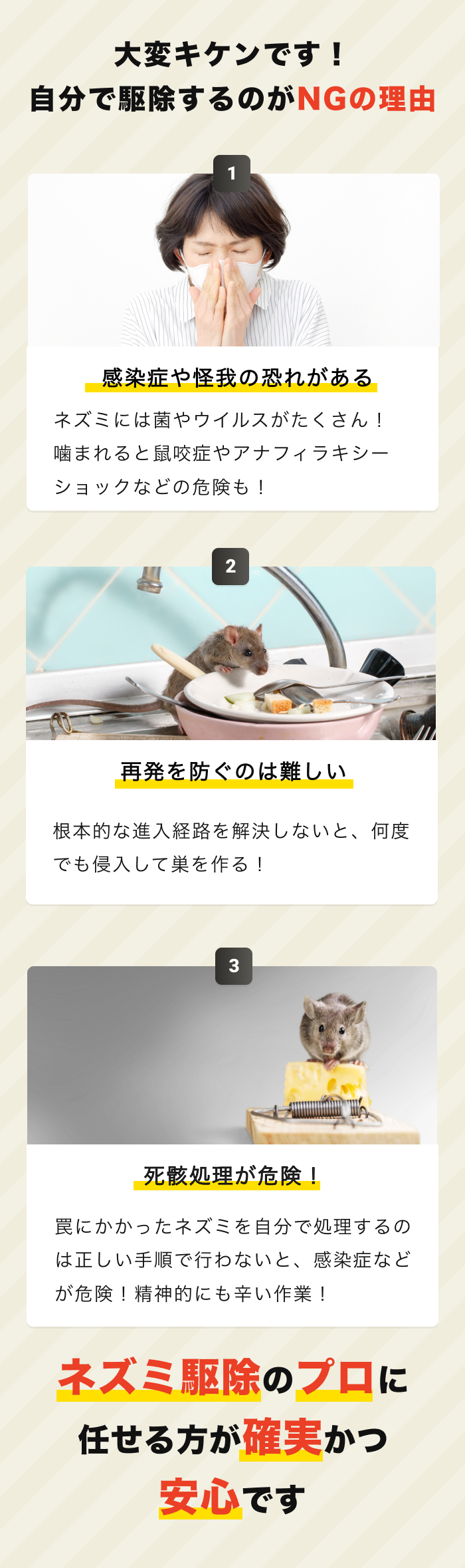 自分で駆除危険