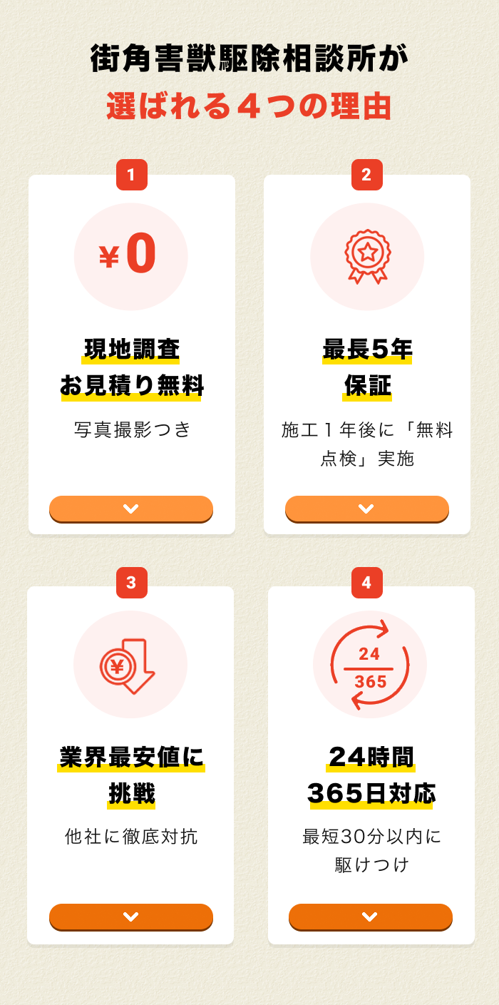 街角害獣駆除おすすめ5つ