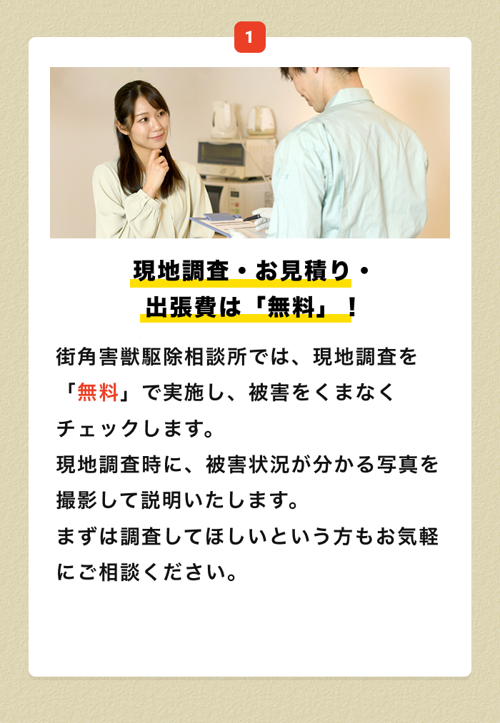 街角害獣おすすめ1