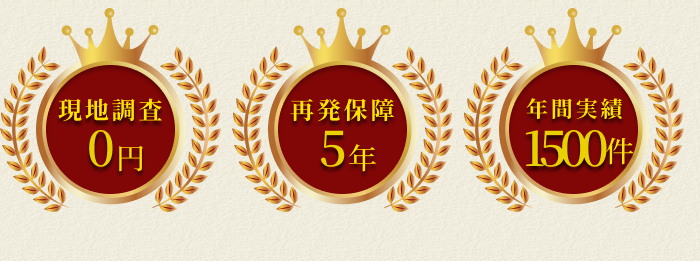 街角害獣駆除のTOP画像　オファー訴求