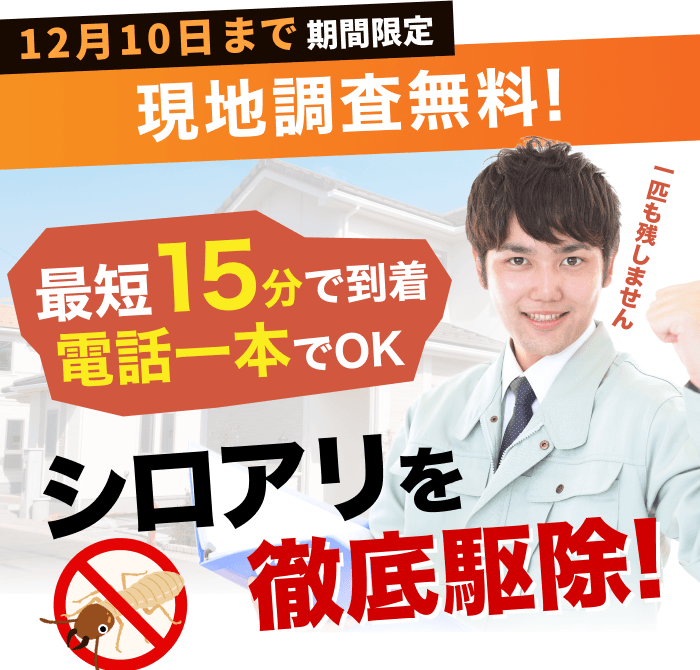 街角害獣駆除のTOP画像　オファー訴求