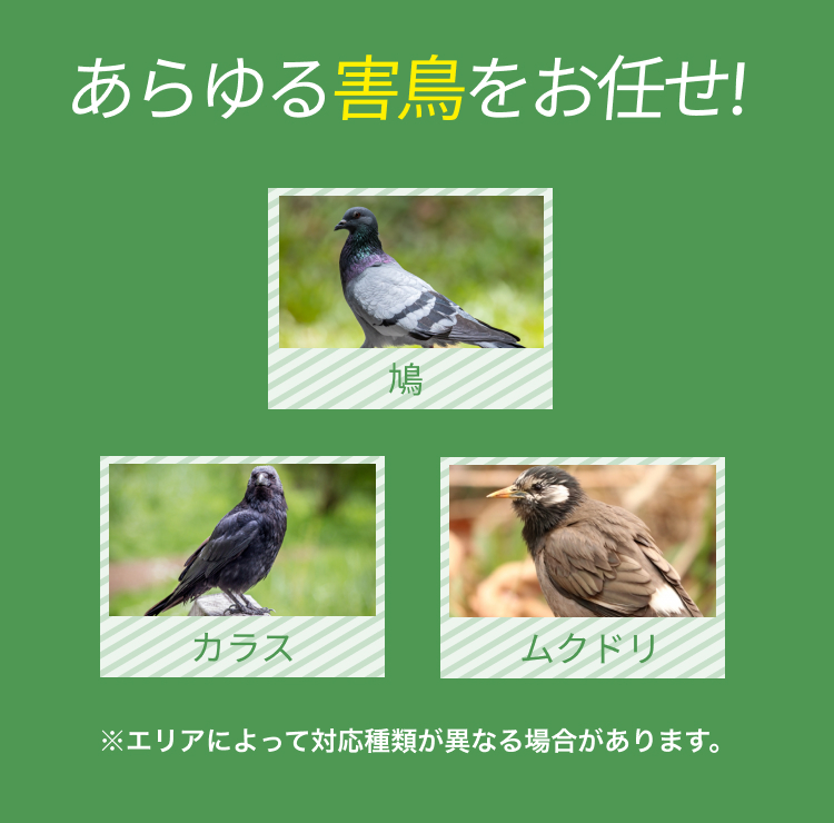 20％オフキャンペーン