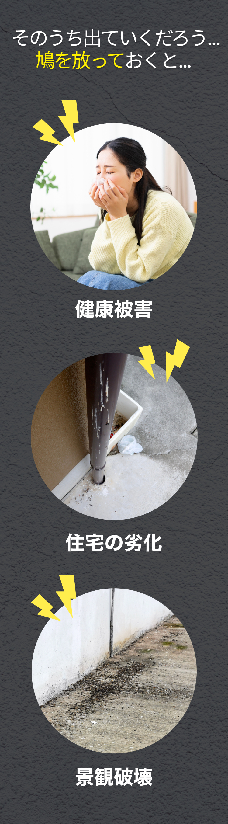 街角害獣お任せ