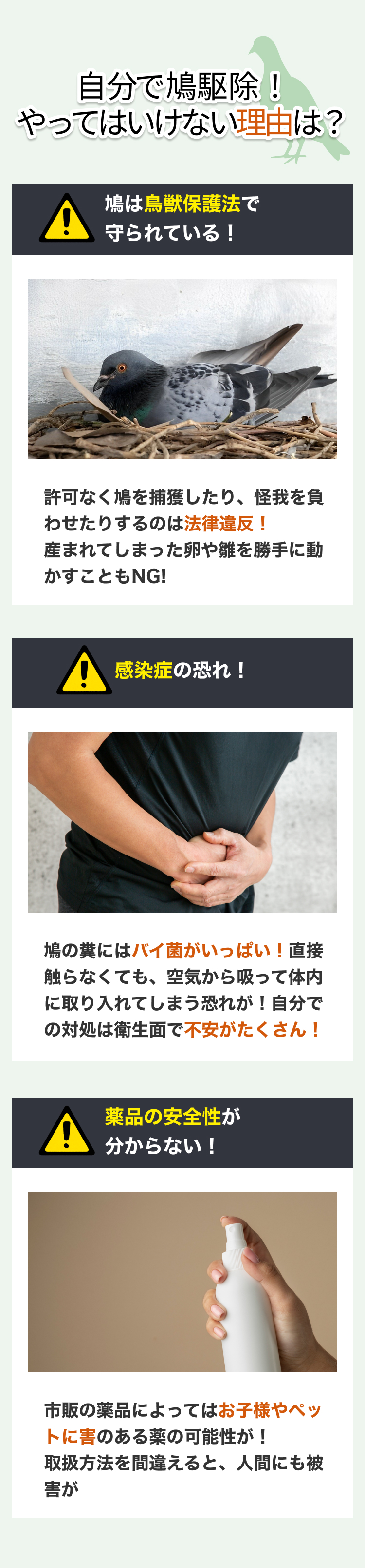 街角害獣おすすめ1