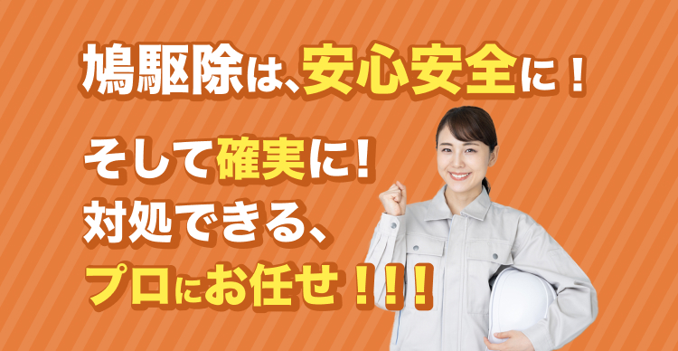 街角害獣おすすめ2-5