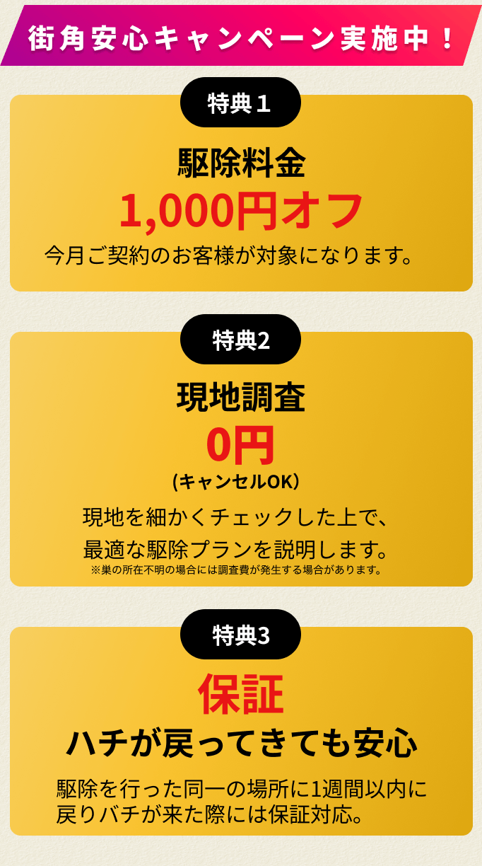 20％オフキャンペーン