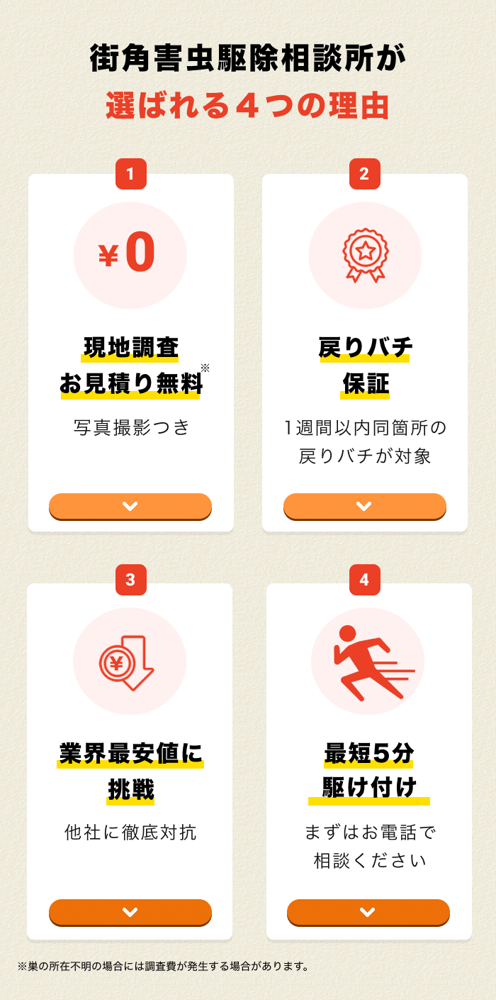 街角害獣駆除おすすめ6つ