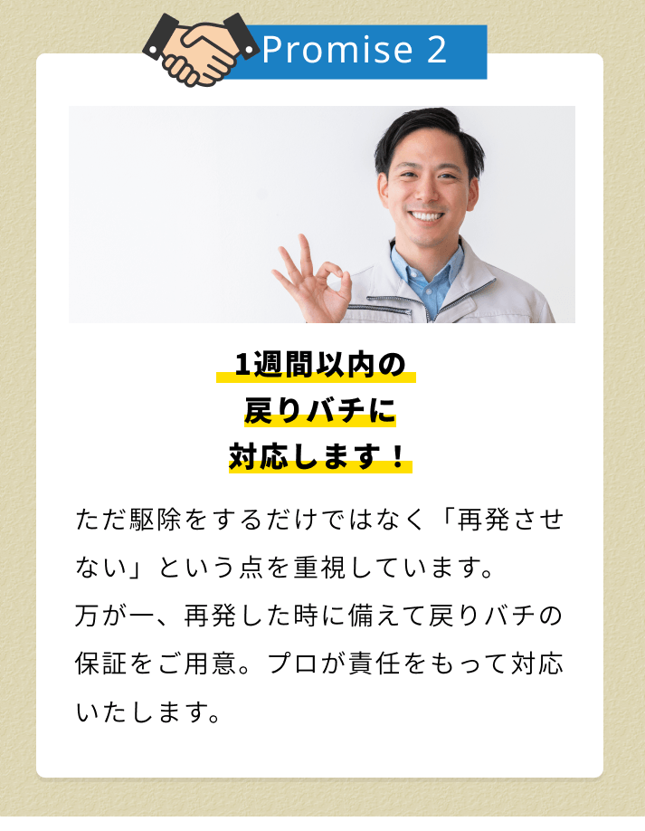 街角害虫おすすめ2