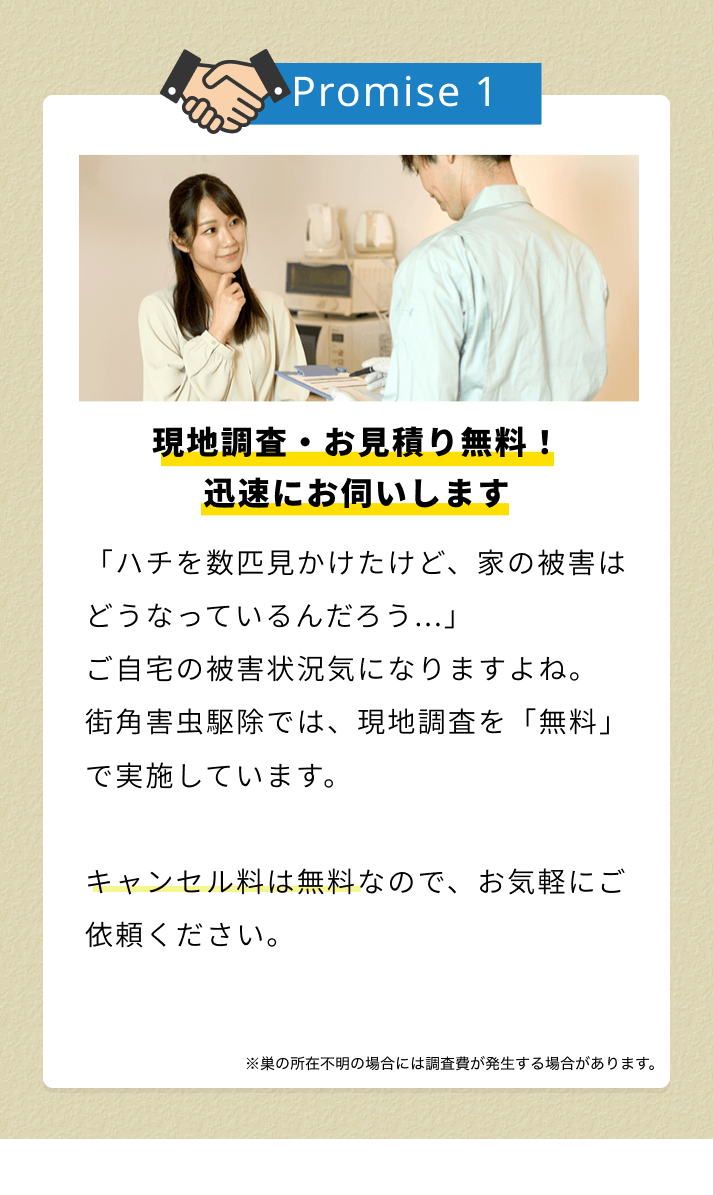 街角害虫おすすめ1