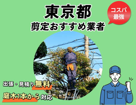 庭木売ります　　現物確認後、要相談　五千円から２万 庭木売ります 現物確認後、要相談 五千円から2万 庭木売ります