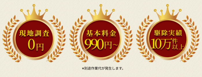 街角害獣駆除のTOP画像　オファー訴求