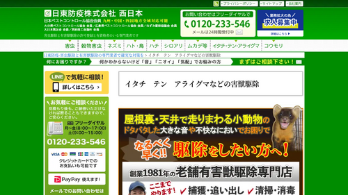 2026年最新】大分市のイタチ駆除に人気な業者12選＊退治・撃退に 