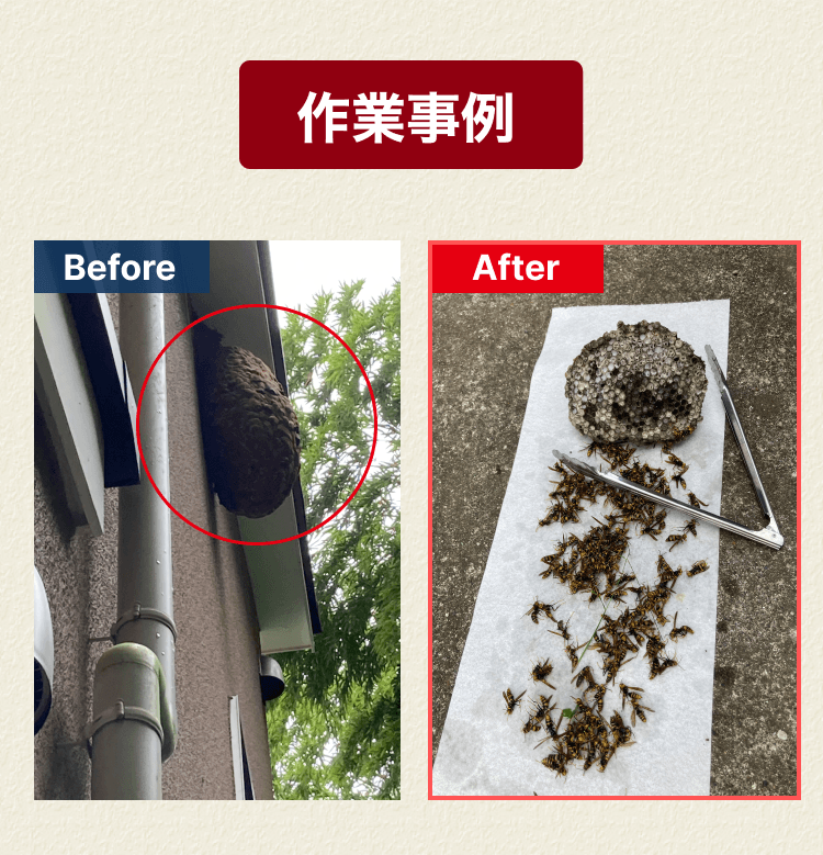 害虫駆除の流れ