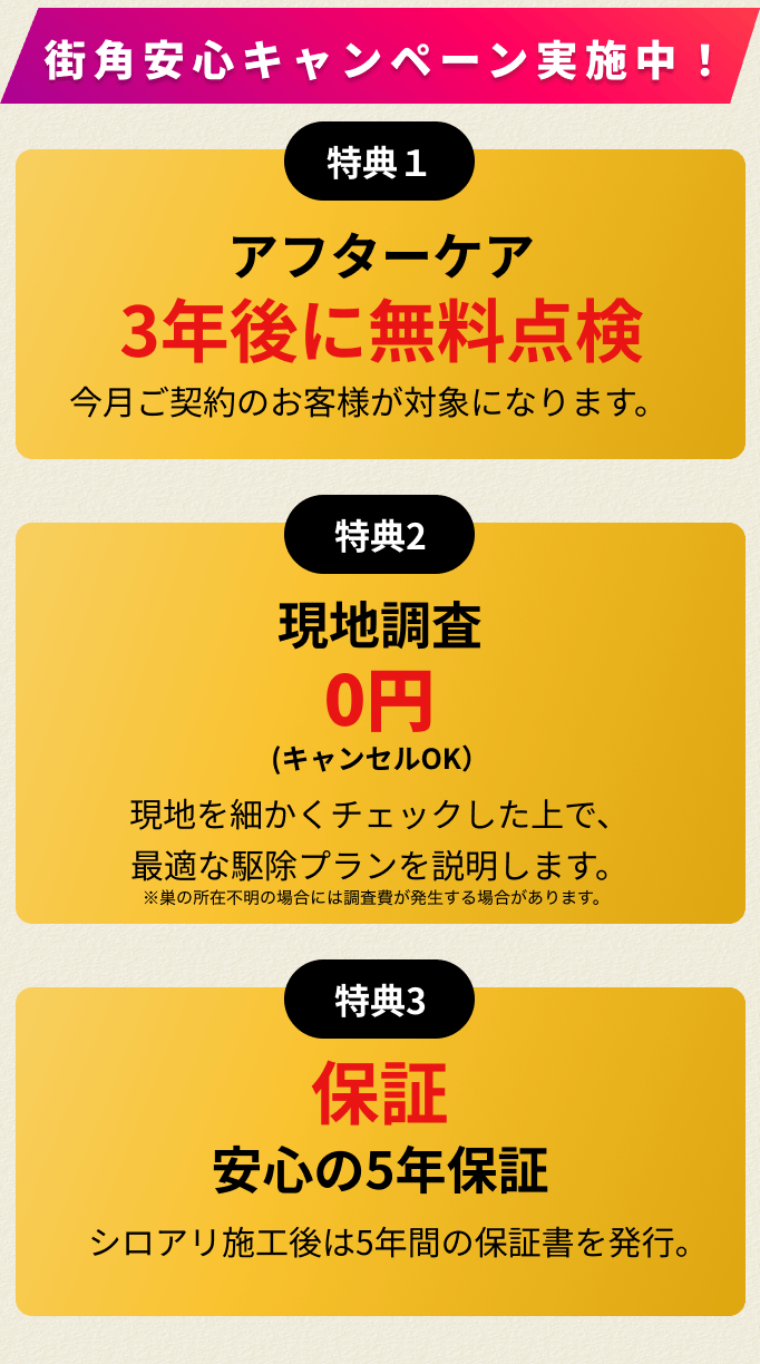 20％オフキャンペーン