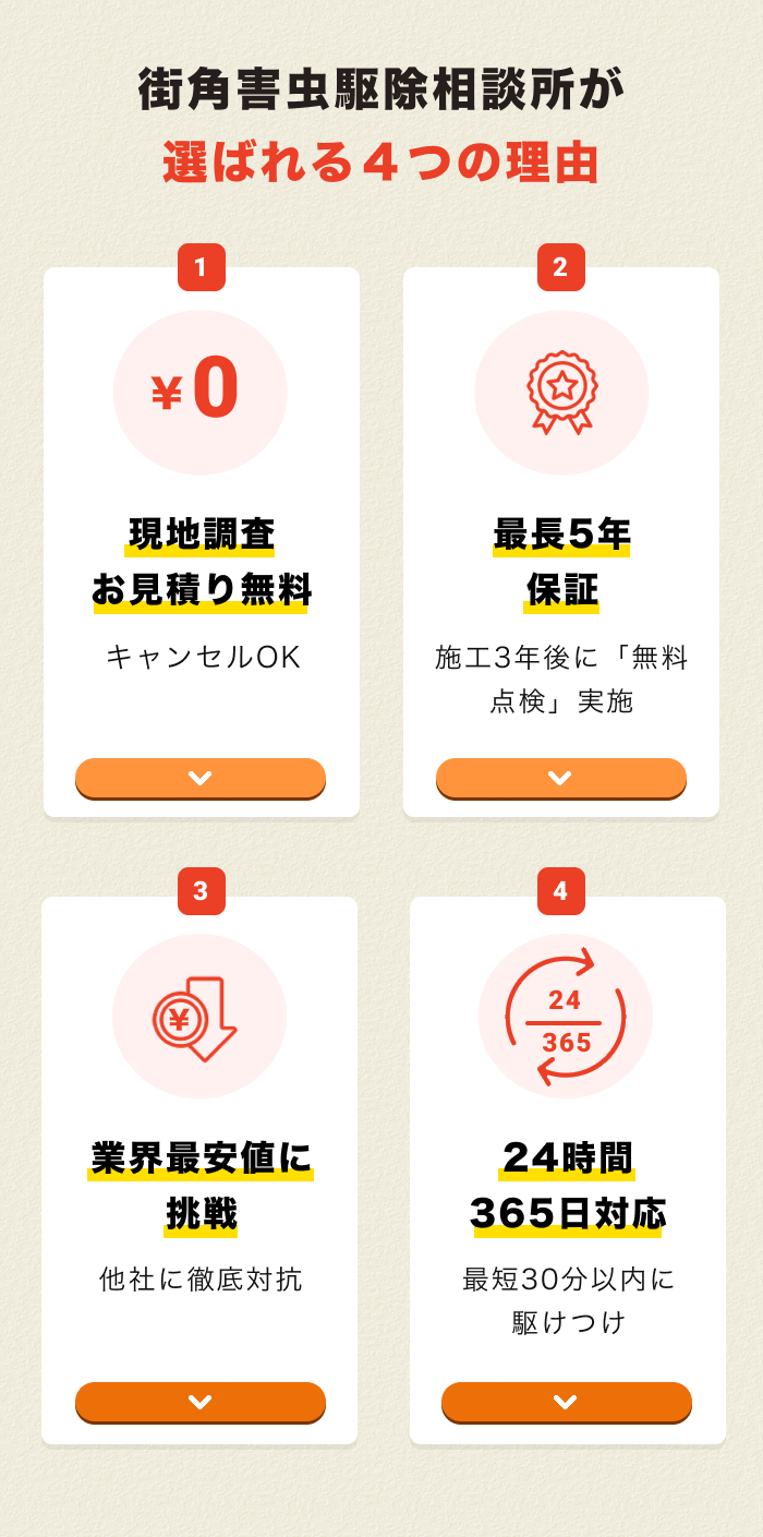 街角害獣駆除おすすめ6つ