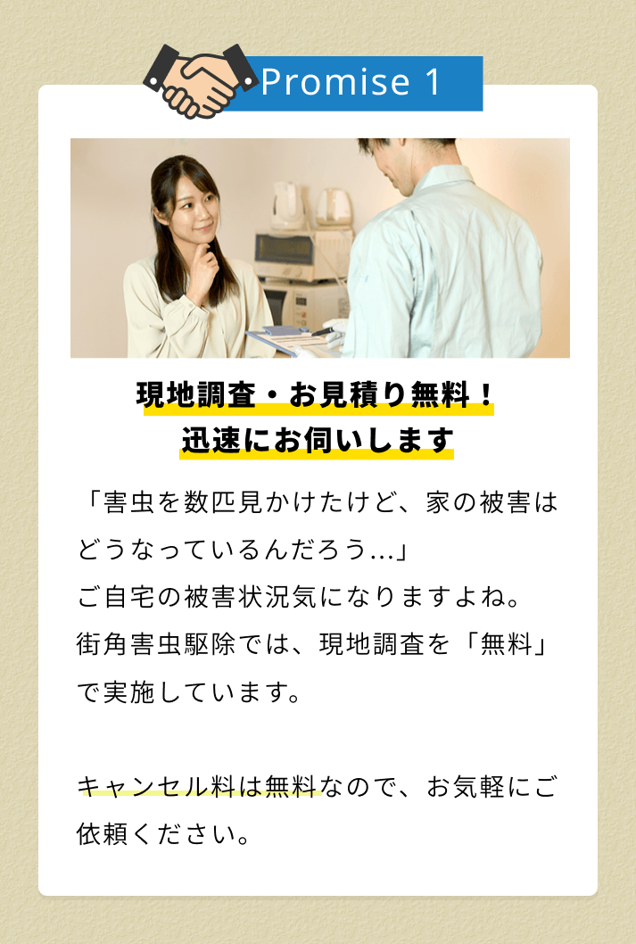 街角害虫おすすめ1