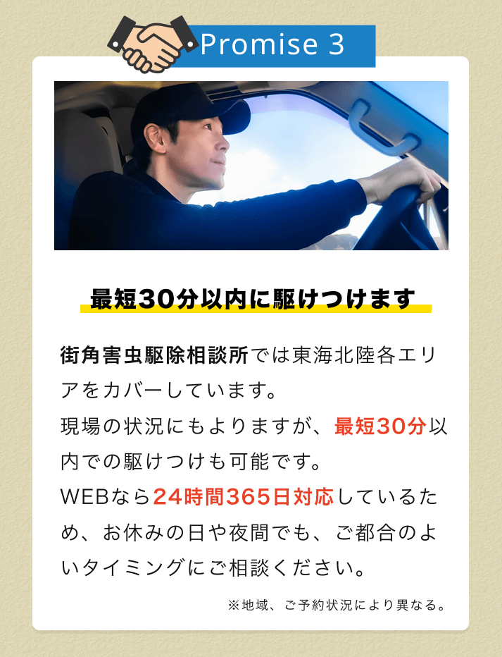 街角害虫おすすめ2