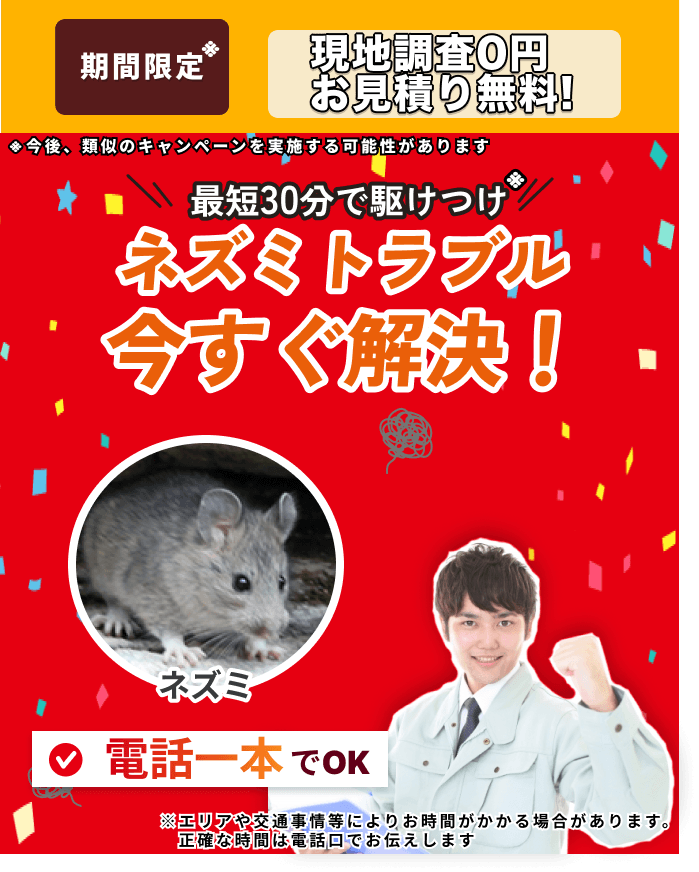 街角害獣駆除のTOP画像　オファー訴求