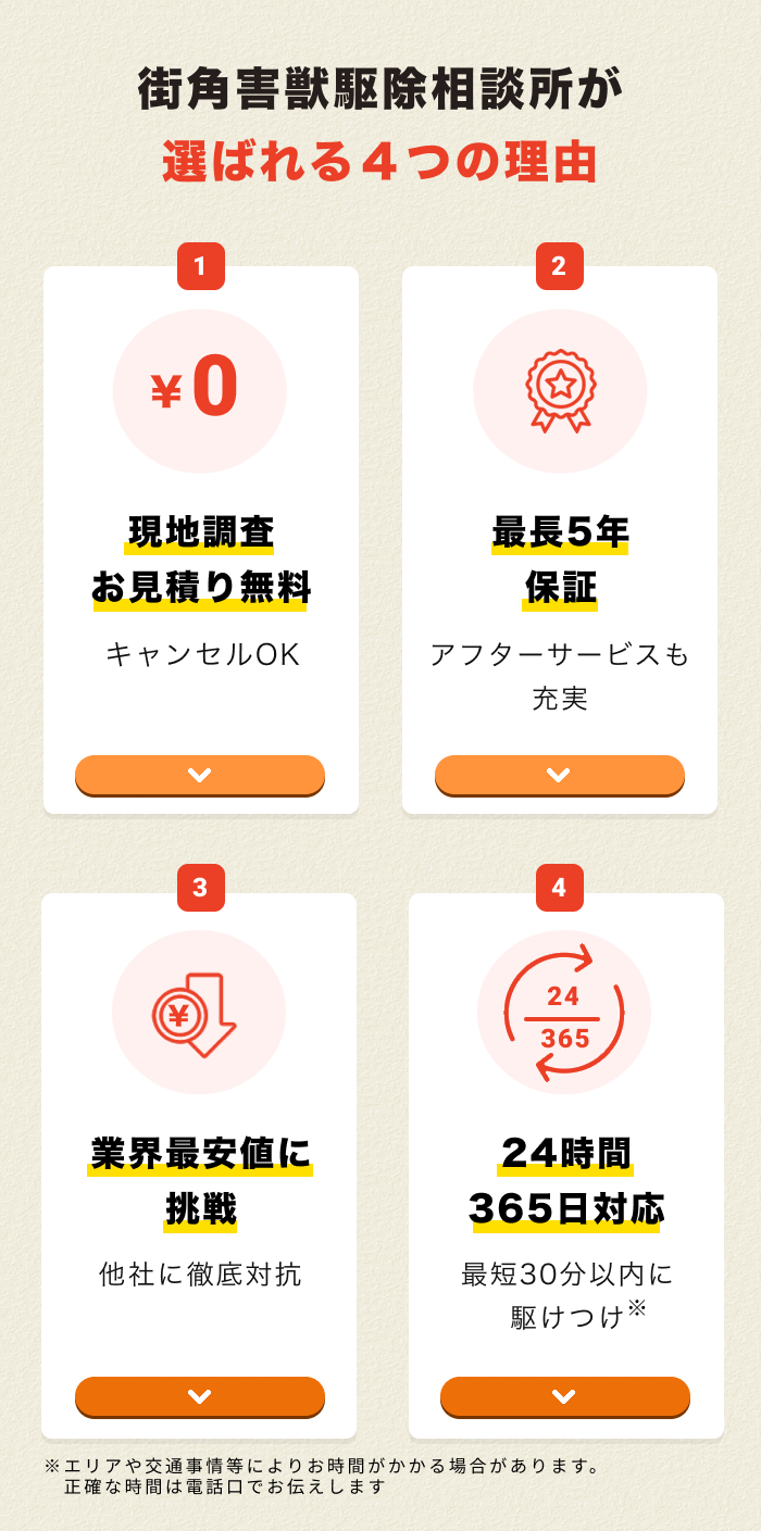 街角害獣駆除おすすめ5つ